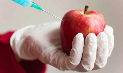 Experts Urge Immediate Ban of GMO Foods in Nigeria