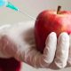 Experts Urge Immediate Ban of GMO Foods in Nigeria