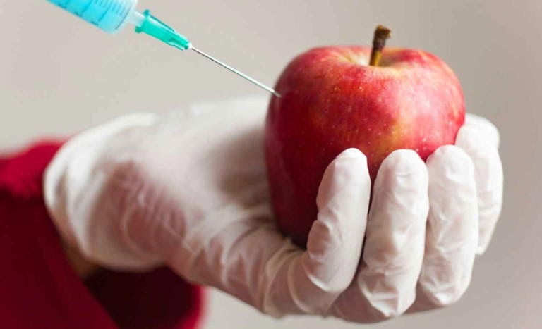 Experts Urge Immediate Ban of GMO Foods in Nigeria