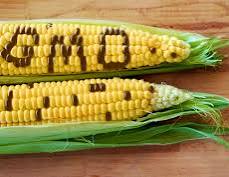 GMOs Are Disguised Economic Colonisation Tools – Prof. Amua
